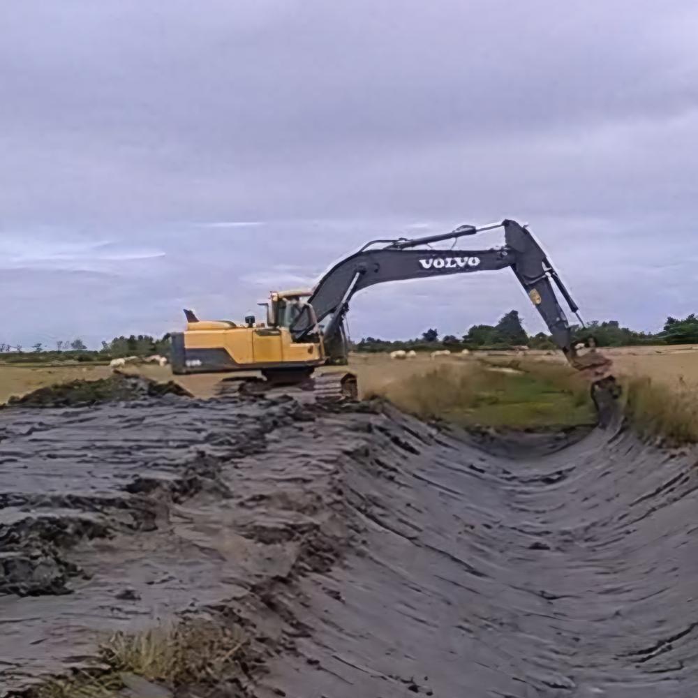 FB_IMG_1767538565549